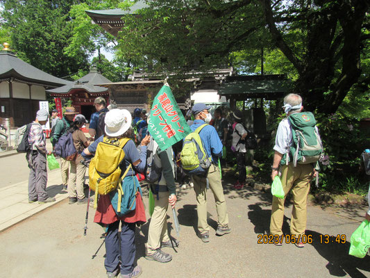 自然観察：薬王院境内の菩提樹に沢山の蕾がついています