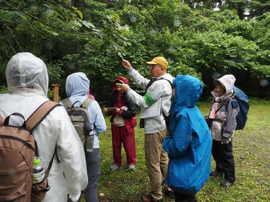 日影沢キャンプ場にて、いろはの森コースの樹木を解説　その2
