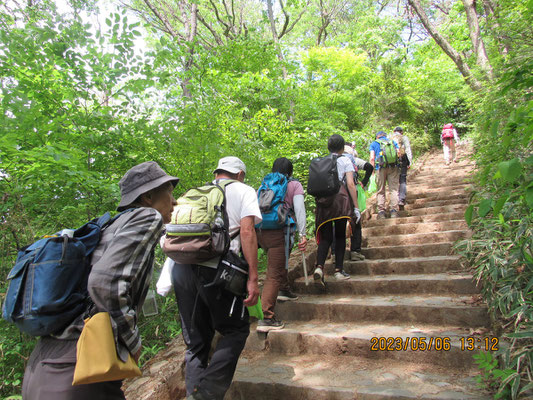 ゴミ拾い：山頂に続く階段でゴミを探します