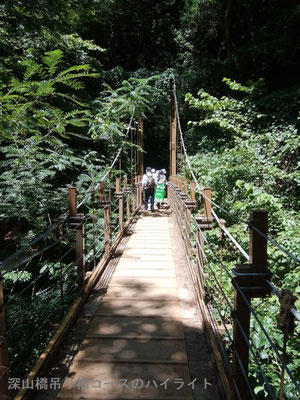 吊り橋コースのハイライトは渓谷に架かる「深山橋」です