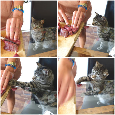 Pi mal Butter Mädchenvöllerei Bumblebee diebische Katze