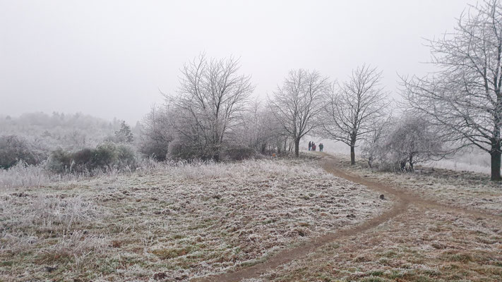 Darmstädter Lauf-Treff, Impressionen vom Prinzenberg beim Silvester Lauftreff, Foto: Rafet Isler