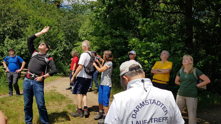 Wanderung "Über sieben Berge musst du geh'n"  am 06. Juni / Bild Dagmar Mendel