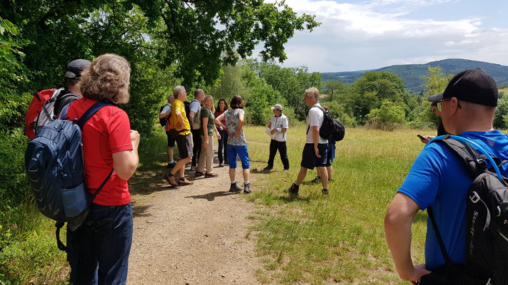 Wanderung "Über sieben Berge musst du geh'n"  am 06. Juni / Bild Dagmar Mendel