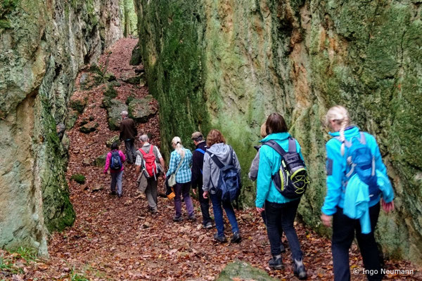 Darmstädter Lauf-Treff, Wanderimpressionen