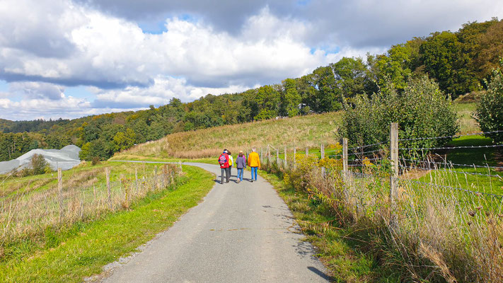 Jubiläumswanderung zum 50-jährigen Bestehen Darmstädter Lauf-Treff am 6.10.2025, Foto: Rafet Isler