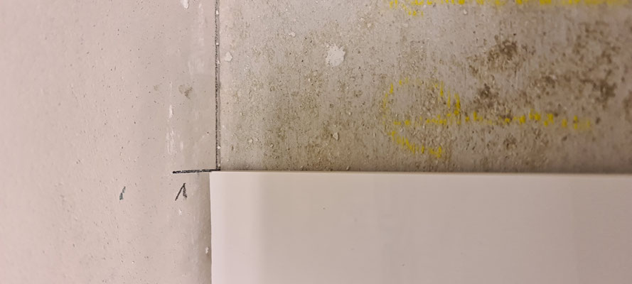 BTK Tegelzetters Venlo - realisatie invalidetoilet Viecuri te Panningen - tegelwerkzaamheden 