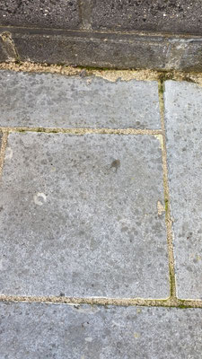 BTK Tegelzetters Venlo - restauratie natuursteen terras te Maastricht