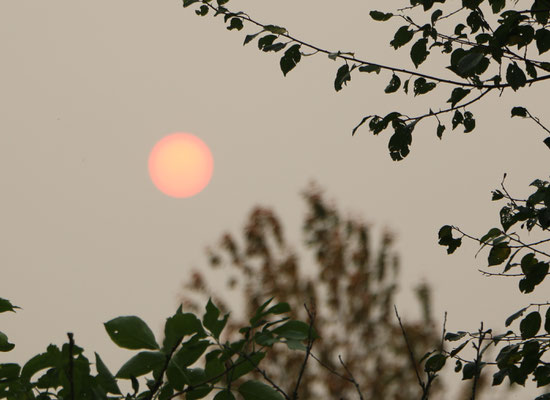 Herbstsonne in ungewöhnlicher Wetterlage