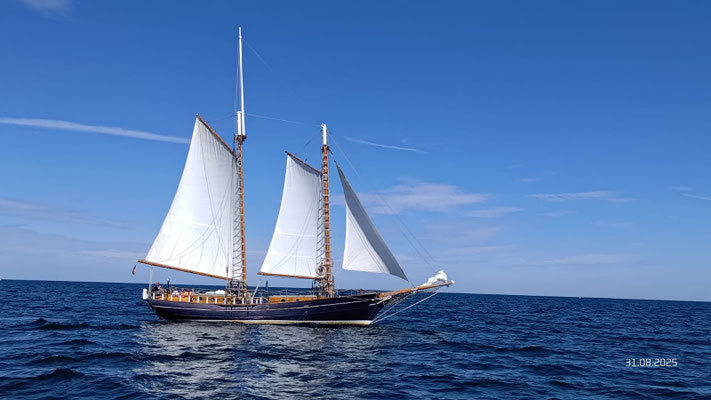 Segeltour vom 30.08.2025 - 01.09.2025