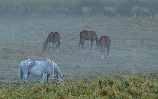 Bretagne