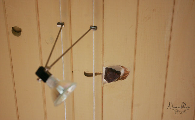 09/2009 - Plafond lambrissé puis peint, et petits cailloux danois intégrés dans les noeuds du lambri (1er prix = beaucoup de noeuds)