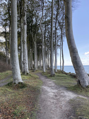 Heiligendamm