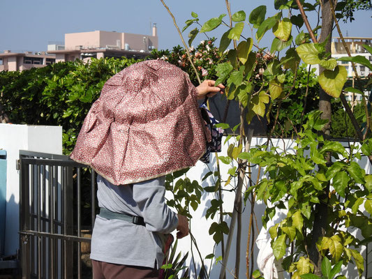 Gartenarbeit in Macao