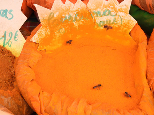 Wespen finden Curcuma toll!