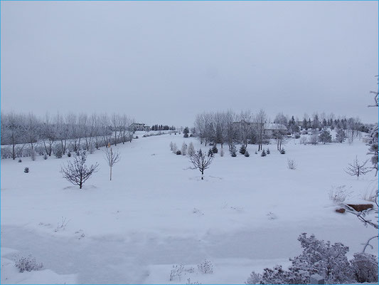 Blick aus dem Fenster unserer Unterkunft