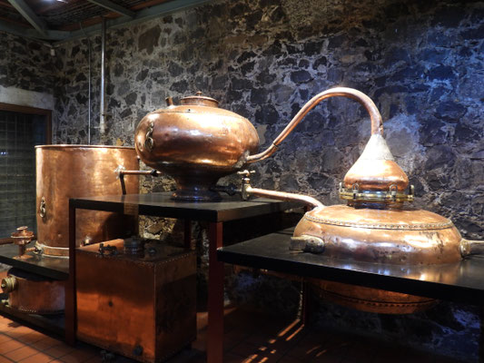 Rum-Museum