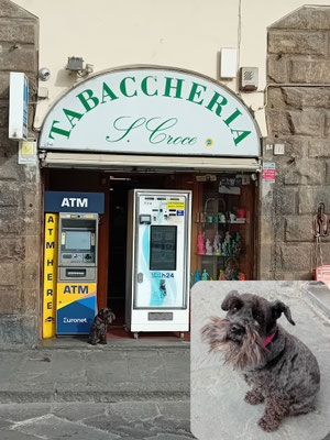 "Er" bewacht tagtäglich die Tabaccheria