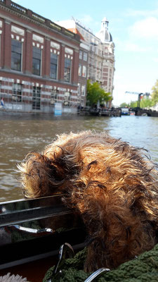 Ich, Fredi, auf Grachtenfahrt in Amsterdam