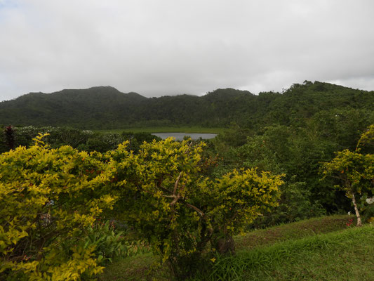 Grand Etang Nationalpark