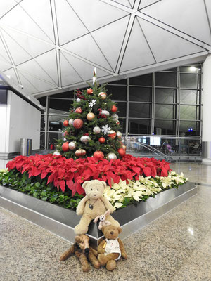 Weihnachten am Flughafen