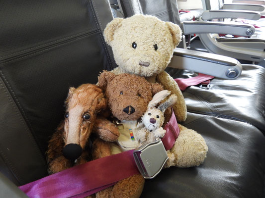 Auch auf dem Heimflug ein eigener Sitzplatz.