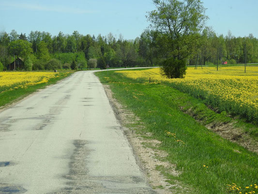 großartig - einsame Straßen und viel viel Landschaft