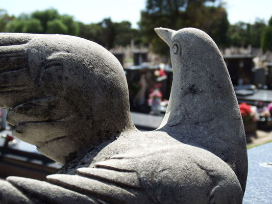 ein Besuch auf dem Friedhof Adelaides