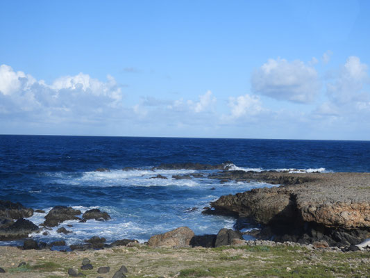 Das karibische Meer bei Aruba, hach, schön!