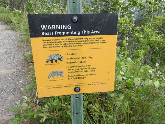 Bärenwarnung in Alaska