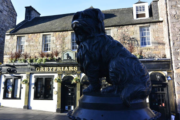 Greyfriars Bobby in Edinburgh, Schottland (er soll 14 Jahre neben dem Grab seines Herrn verbracht haben)