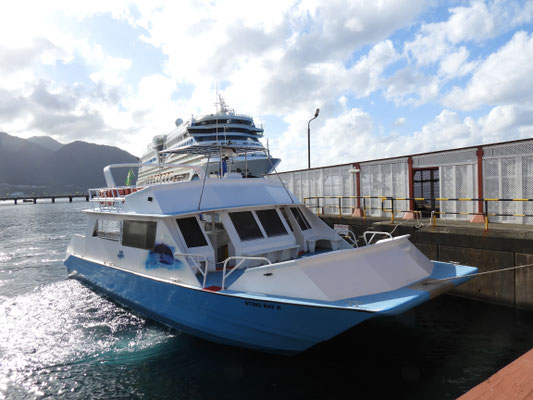 dieses Boot bringt uns zu den Delfinen