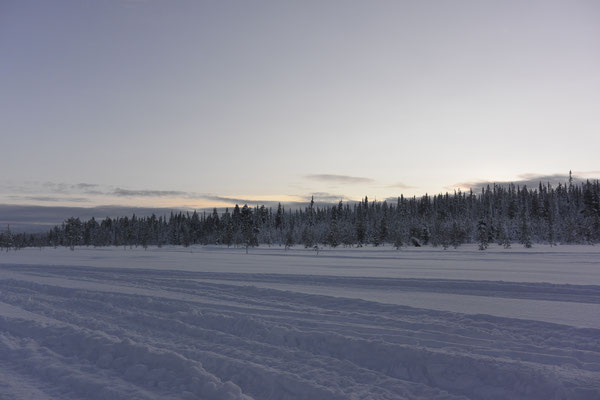 Schneeweite und Schneestille auf der Husky-Safari