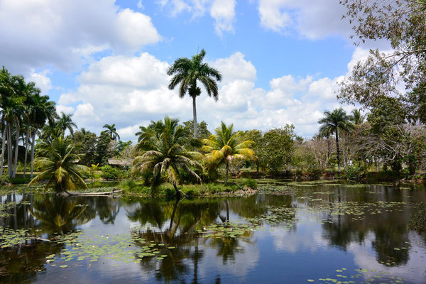 Guamá, Aldea Taina