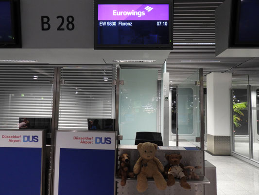 unser Flug