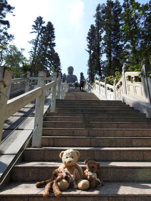 die 268 Stufen zum Tian Tan Buddha