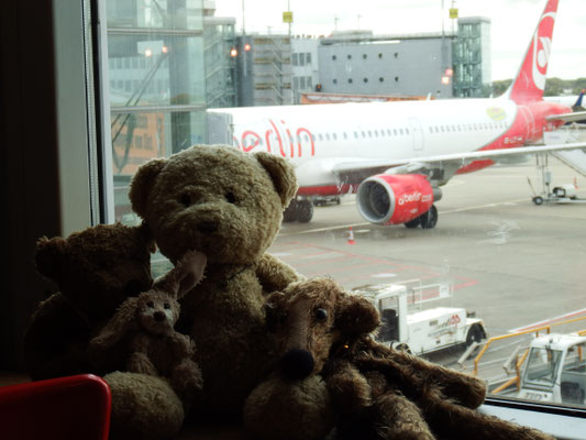 Kasimir, Cäsar, Fredi und Kerl am Flughafen - airberlins letzter Flug!