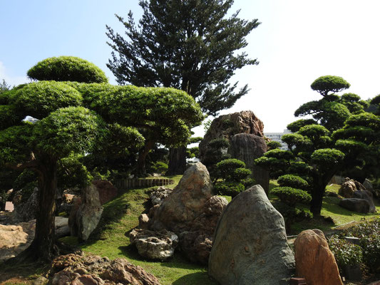 der wunderschöne Nan Lin Garten des Chin Lin Klosters