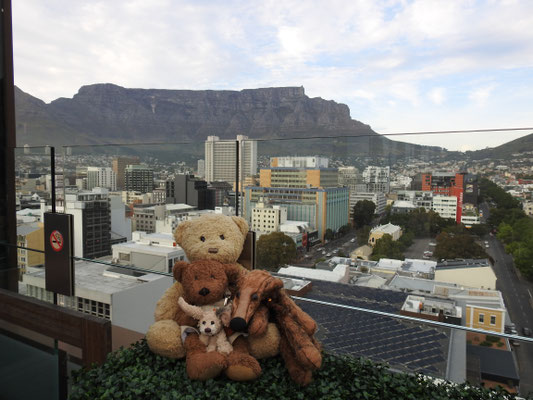 Blick-Luxus vom Dach unseres Hotels auf den Tafelberg