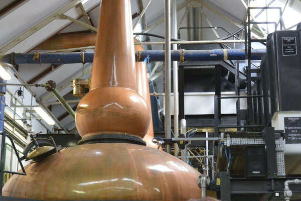 Kasimir, Cäsar und Fredi besichtigen die Whisky-Destillerie in Inverness, Schottland