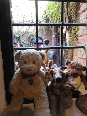 Wir - Kasimir, Cäsar, Fredi und Kerl - am Fenster neben dem Balkon im Hause Julias mit Blick auf Julias Statue im Innenhof