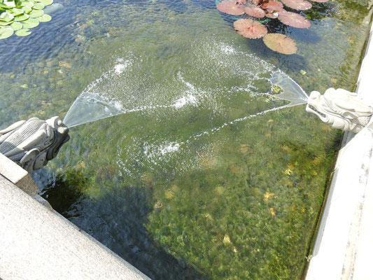 Wasserspeier im Chi Lin Kloster