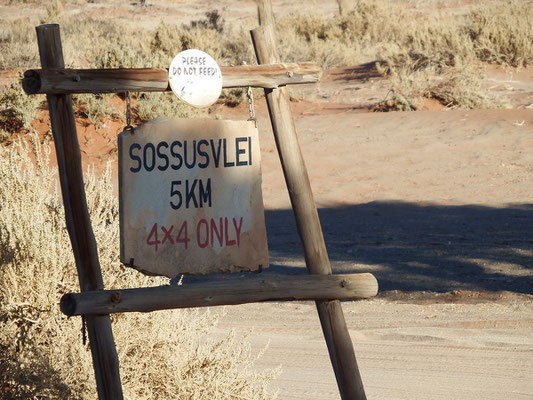 Die letzten Kilometer dürfen wir wegen des Sandes nur mit einem Jeep zurücklegen - super!