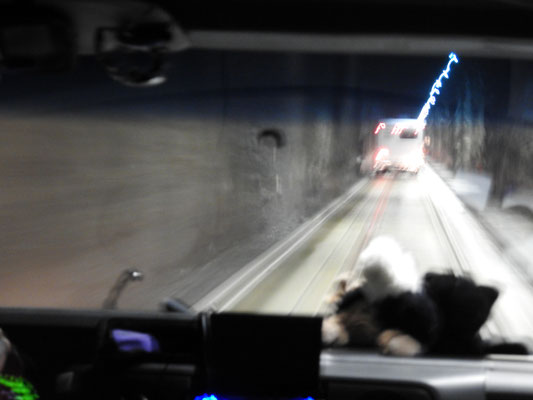 Auf dem Weg nach Seward geht es durch den Anton Anderson Memorial Tunnel - einspurig, von Autos und Zügen befahren.