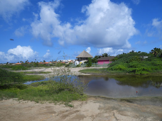 Gebäude auf Aruba und wer genau hinschaut erkennt, dass es sich im Vordergrund um einen Golfplatz handelt.