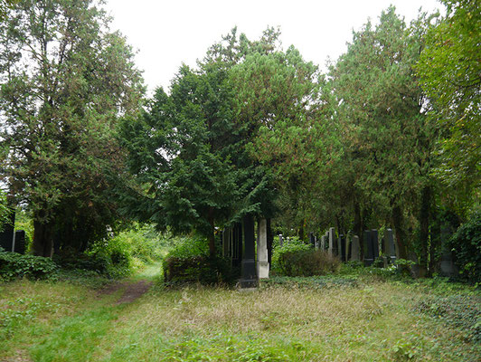 alter jüdischer Friedhofsteil