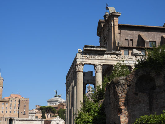 Seitenansicht Tempel des Antoninus Pius und der Faustina