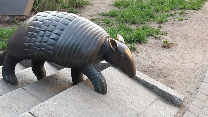 Tapir in Riga!