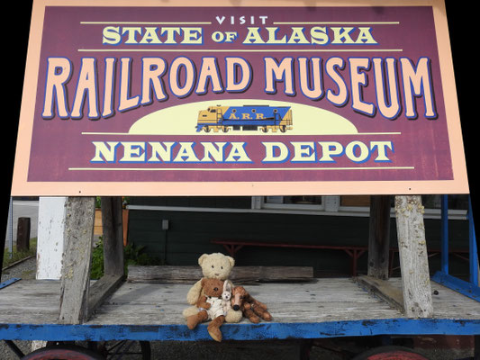 Wir - Kasimir, Cäsar, Fredi und Kerl - in Nenana, Alaska.