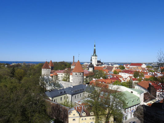 Blick über Tallin